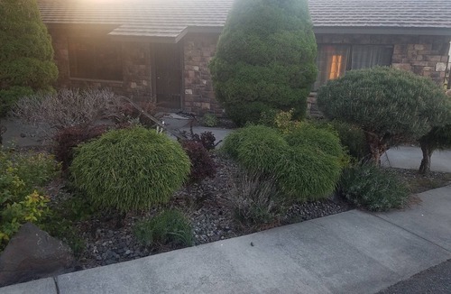 Eltopia Cottage | Cute country cottage