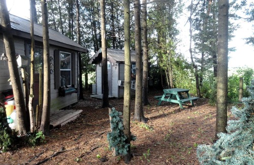 Mount Forest Cabin | Cute Cozy Tiny House Surrounded by Trees for a Unique Couples Escape in Mt Forest, Ontario