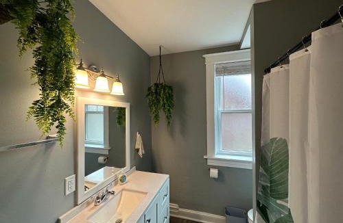 St. Louis Apartment | Cute Neighborhood Rainbow Apt