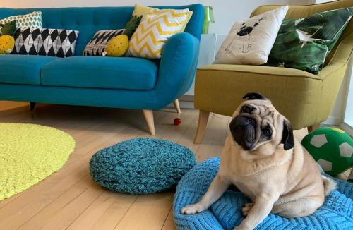 Amager House | Cute Pug Guest Room