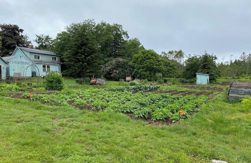 Welshpool House | Cutesy Camper in the Woods
