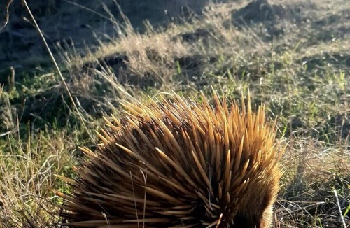 Cuttlefish Bay House | Cuttlefish Bay Cottage | Australia View | Luxury