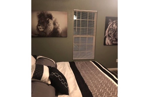 Leon Valley House | CYC Big Cat HideAway