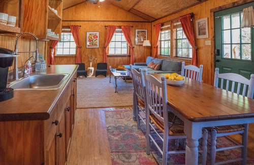 Comfort Cabin | Cypress Creek Cabin Stay for 6 Access to Pool Hot Tub