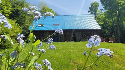 Mansonville Ski Chalet | Détente au coeur de la forêt