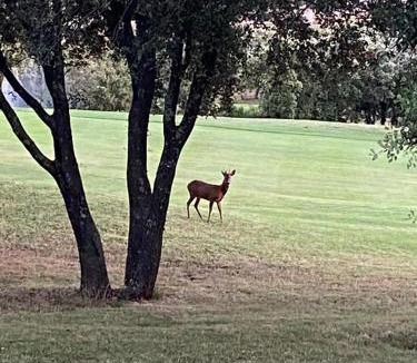 Garrigues House | Détente au Green
