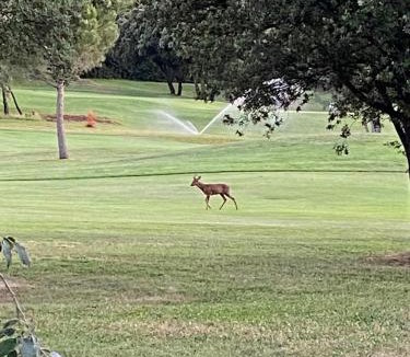 Garrigues House | Détente au Green