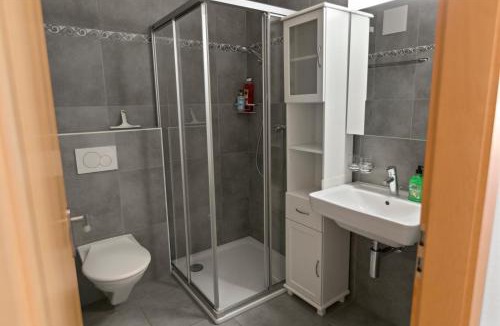Saillon Apartment | Détente Thermale à Saillon proche des bains, 4 personnes