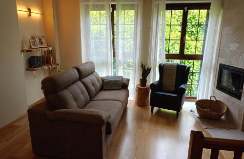 Alt Aneu Apartment | Dúplex en Valencia d'Àneu (Baqueira Beret)
