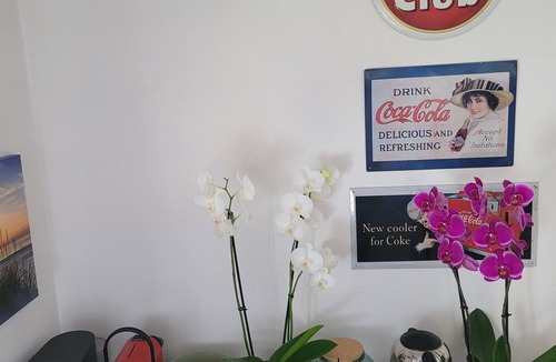 Geudertheim House | D&J homestay