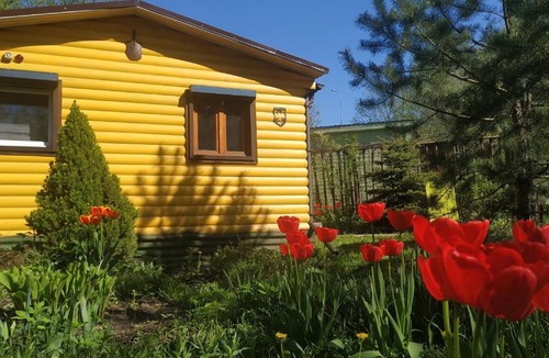 Novo-Peredelkino House | Dacha №1 in Peredelkino