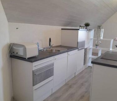 Berneck Apartment | Dachwhg an schöner Aussichtslage