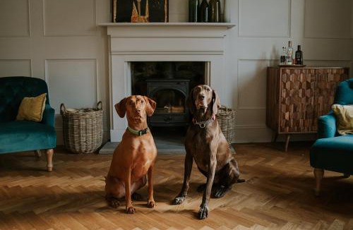 Gilsland Bed & Breakfast | Dacre House, Gilsland