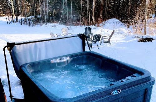 Shannon Ski Chalet | Dahlia #1 - Spa & Pets