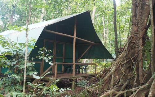 Cow Bay Cabin | Daintree Crocodylus