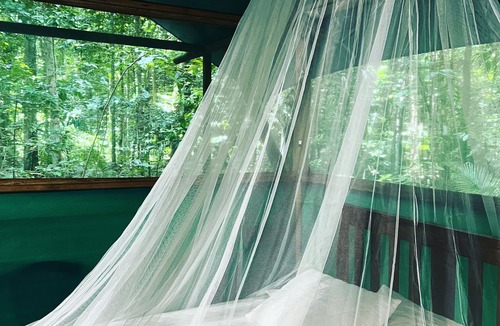 Cow Bay Cabin | Daintree Crocodylus