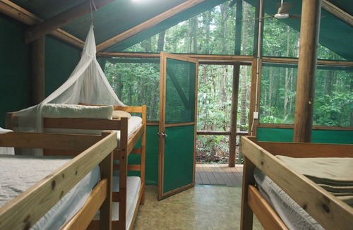 Cow Bay Cabin | Daintree Crocodylus