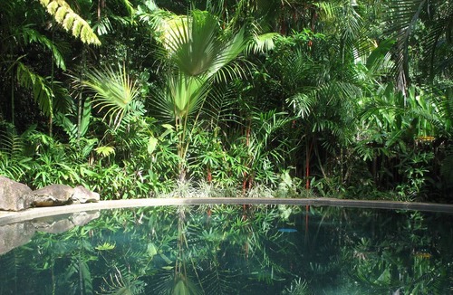 Cow Bay Hotel | Daintree Rainforest Retreat