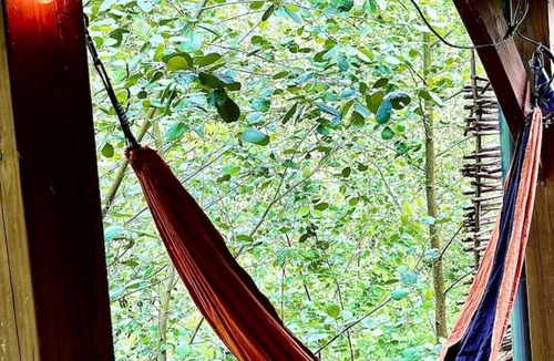 Rewe Ski Chalet | Daisy-a romantic logcabin hiding amongst the trees