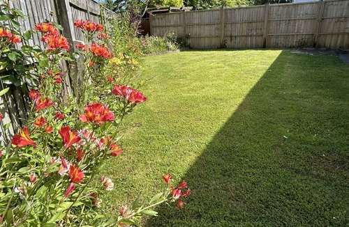 Hordle House | Daisy Cottage by NewFo rest