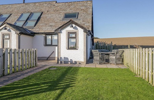 Newton in Furness House | Daisy Cottage