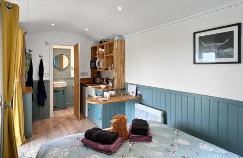 South Molton Cabin | Daisy Shepherds Hut