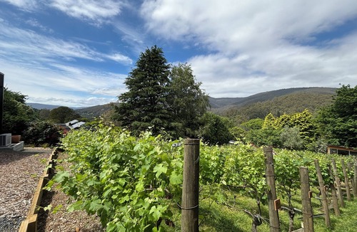 Warburton House | Dalla Vite, 'by the vine'