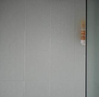 Parkes House | Dalton St House