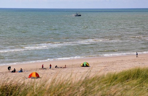 Argab Other | Dancamps Holmsland (Camp Site)