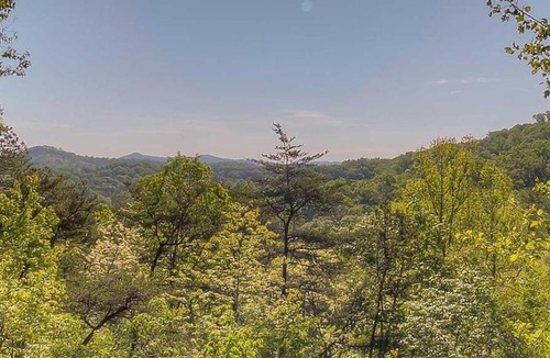 My Mountain House | Dancing Bear