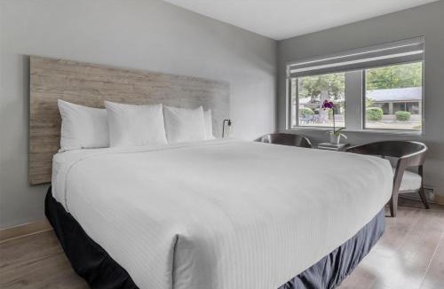 Beresford Hotel | Dannys Suites, SureStay Collection by Best Western