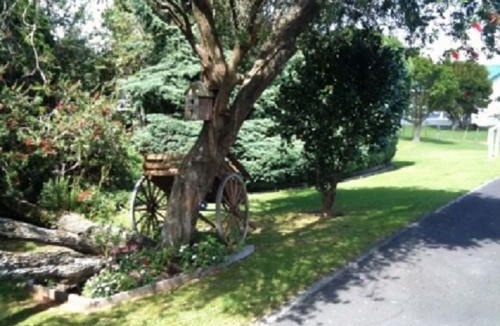 Dargaville Hotel | Dargaville Motel