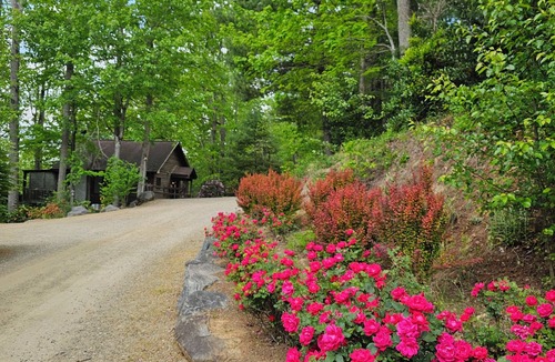 Skyland Cabin | Darling cozy cabin w/hot tub