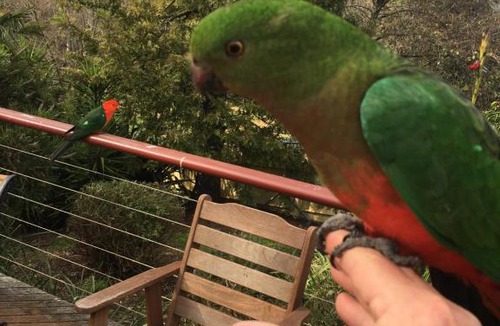 Dartmouth House | Dartmouth Deck