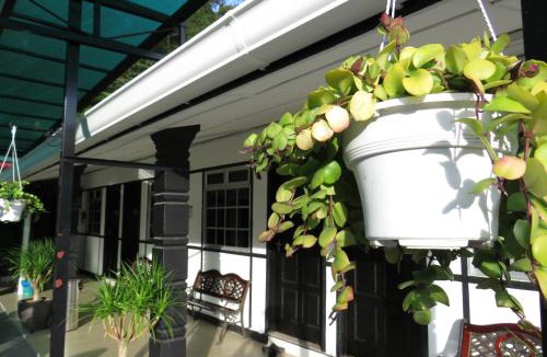 Tanah Rata House | Darulmakmur Chalet