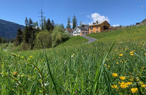 Laax House | Das Waldheim Exklusive für bis zu 10 Personen