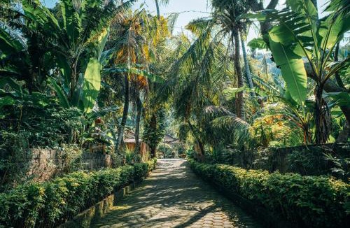 Candi Dasa Resort | Dasa Wana - DW Jungle Resort - Candidasa