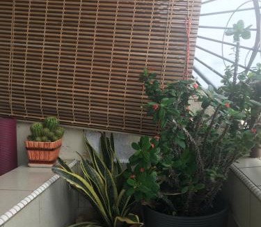 Taman Haji Zainal Apartment | David beachside apartment