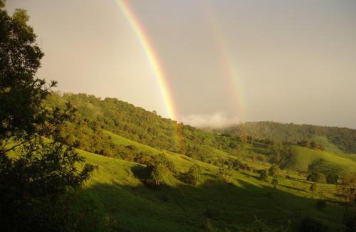 King Scrub Villa | Dayboro Cottages