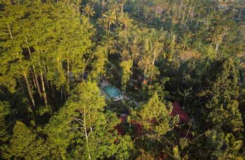 Sebatu Resort | Daydream Lodge Tegallalang
