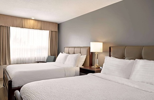 Fredericton Hotel | Days Inn by Wyndham Fredericton