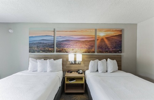 Hollins Hotel | Days Inn I81 double ded room