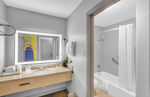 Hollins Hotel | Days Inn I81 king room