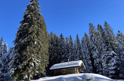 Villars-sur-Ollon Apartment | De charme appartement with amazing south facing terrace