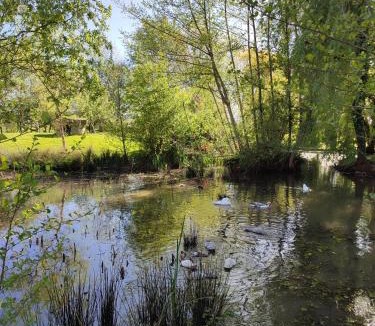 Navarrenx Bed & Breakfast | De couleurs et d'eau fraîche