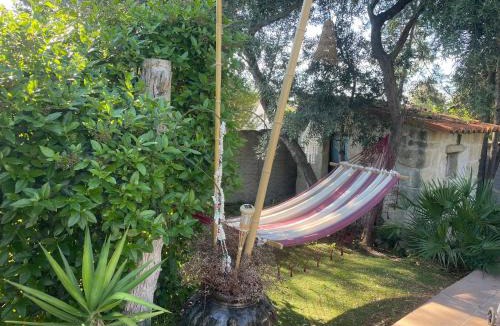 Gallargues-le-Montueux Bed & Breakfast | De la suite dans les oliviers