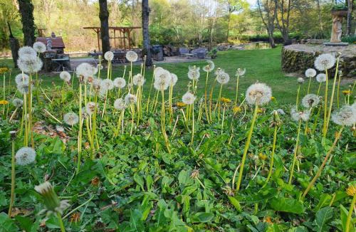 Cheniers House | De Loft