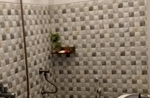 Banyuwangi House | de Lungguh Family Homestay