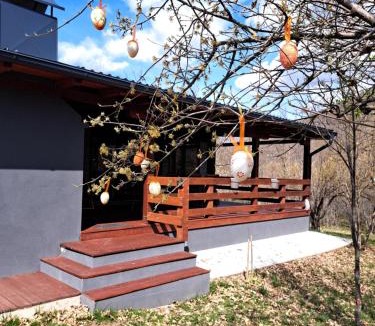 Gracac House | De Luxe mobilna kuća Kijani, 44m2