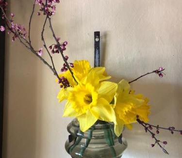 Betaucourt Bed & Breakfast | Dealettante